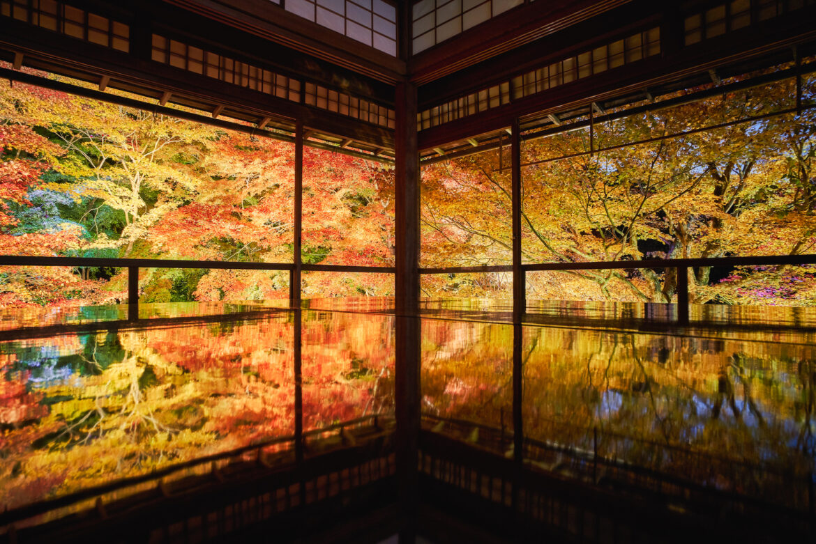How to visit Kyoto’s Ruriko-in temple for its viral autumn leaves reflection