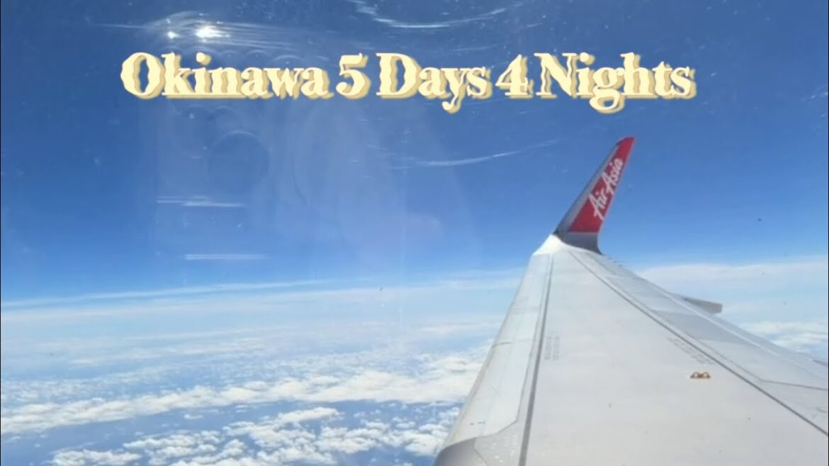Okinawa 🚗🌴🐋🌞🌊