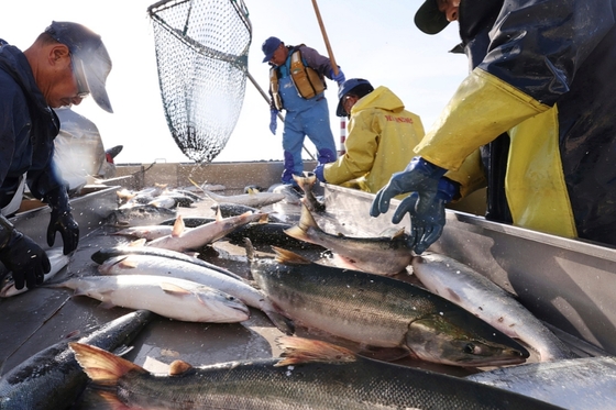 China Halts Japanese Seafood Imports Amid Diplomatic Row China Halts Japanese Seafood Imports Amid Diplomatic Row