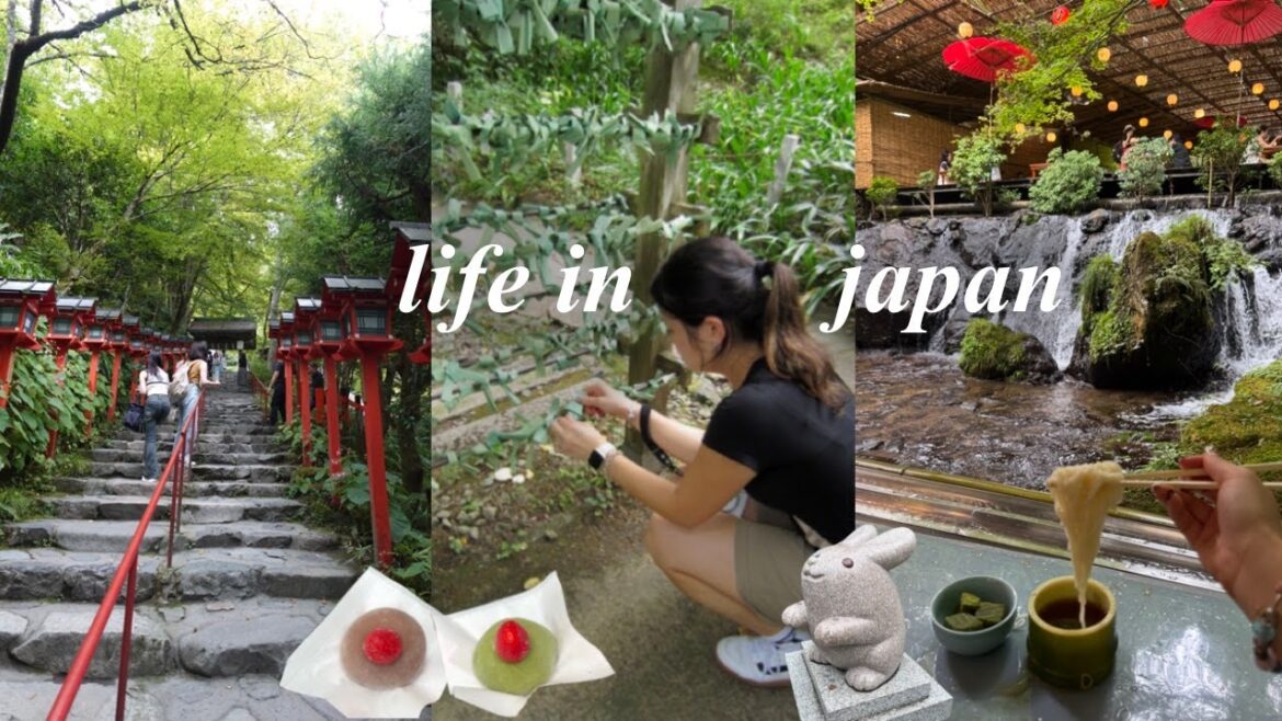 my favorite place in kyoto | kyoto uni diaries