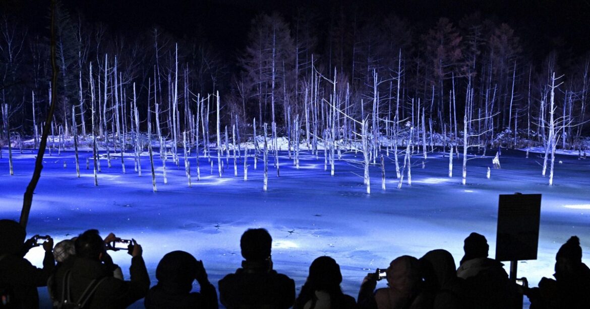Hokkaido's famous Blue Pond shimmers at annual illumination
