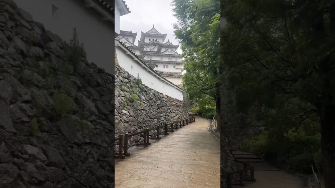 Himeji Castle (Outside) - #shorts #travel #japan #himejicastle #himeji #japanesecastle #castle