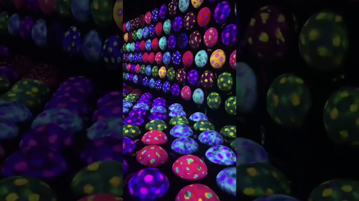 【KYOTO】 Must-See Tourist Attraction – teamLab Kyoto 【KYOTO】 Must-See Tourist Attraction - teamLab Kyoto