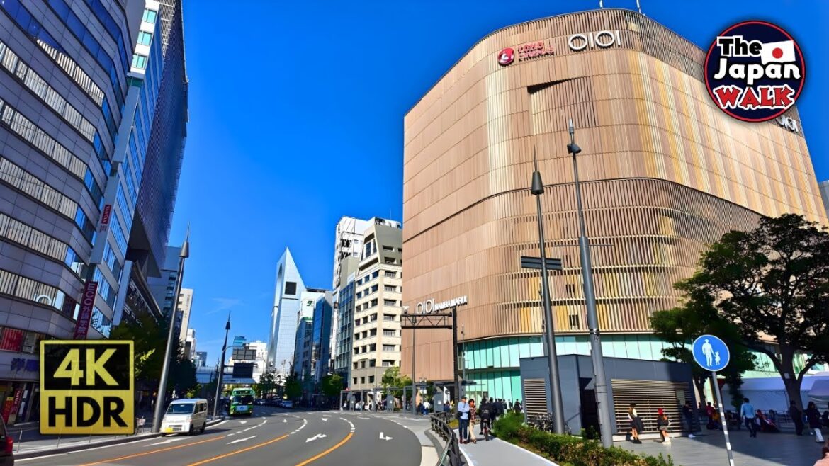 Namba to Shinsaibashi: Exploring Osaka’s Most Iconic Districts | Walking Tour | 4K HDR Namba to Shinsaibashi: Exploring Osaka’s Most Iconic Districts | Walking Tour | 4K HDR