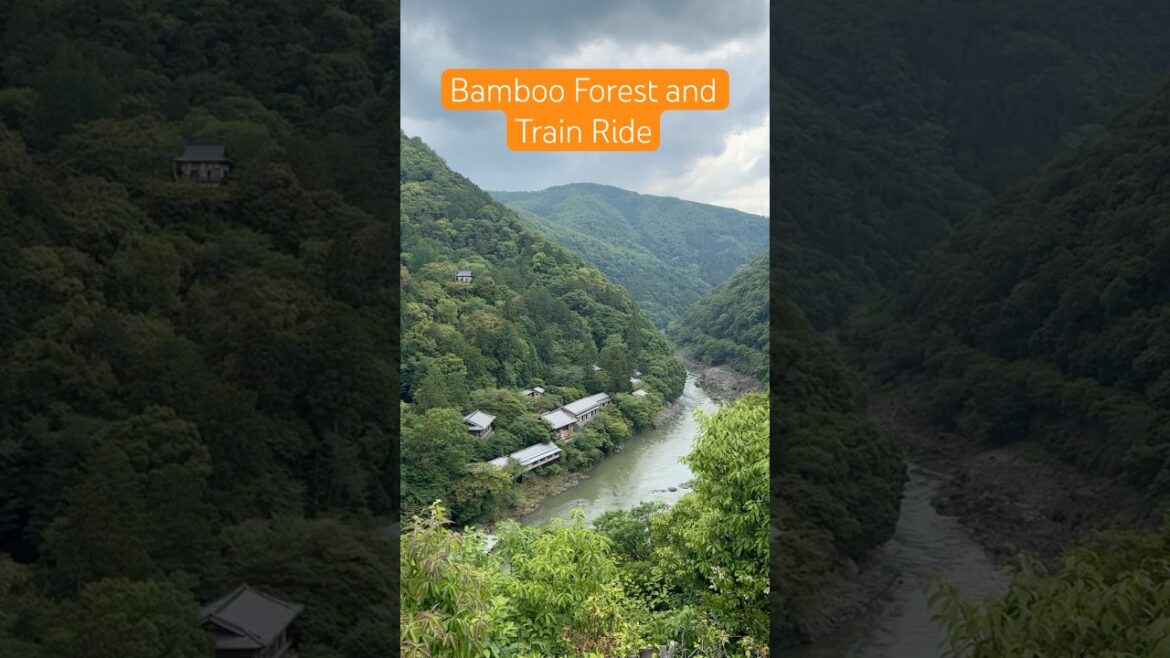 Arashiyama Bamboo Forest in Kyoto and Journey to Hakuba