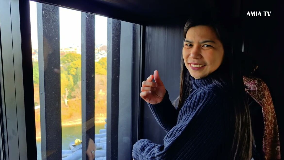 Okayama Castle - a Japanese castle in the city of Okayama.