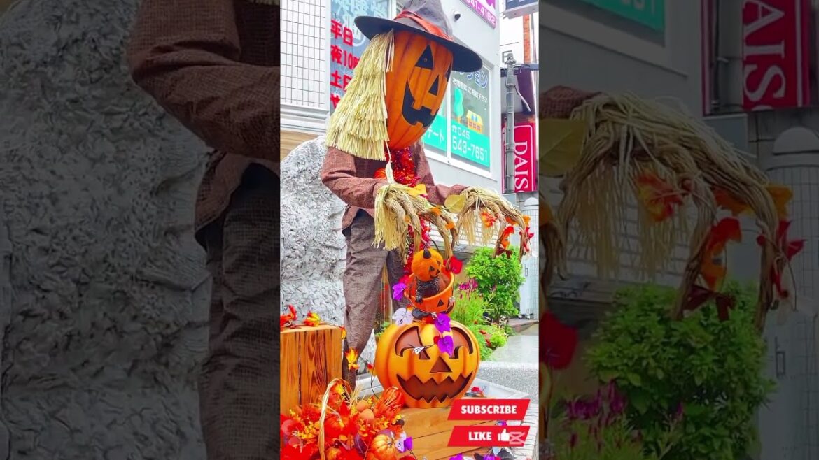 ๐๐ฑHelloween Japan ๐ฏ๐ต๐๐ฑ #japan #helloween #yokohama ๐๐ฑHelloween Japan ๐ฏ๐ต๐๐ฑ #japan #helloween #yokohama