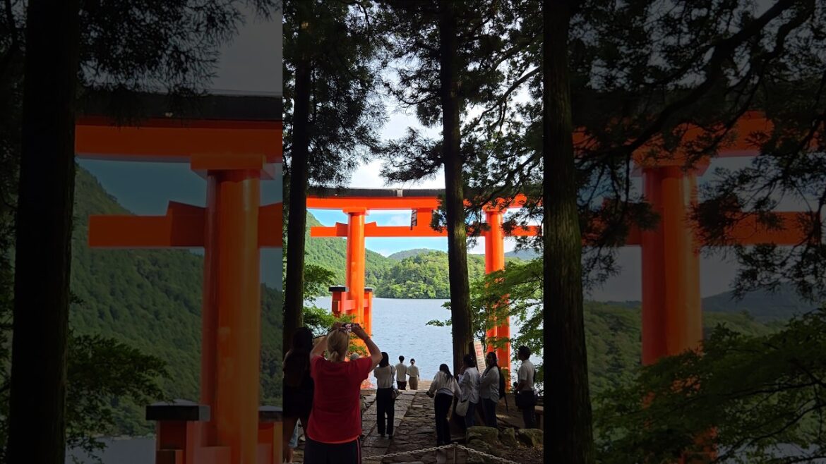 #japan #asiantravel #travel #japantravel #traveldestinations #hakone #箱根 #nature