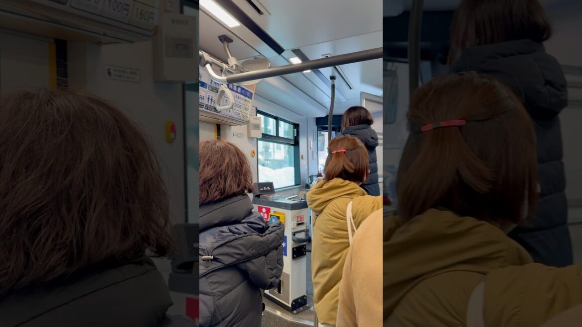 Streetcar in Sapporo #japan #train #travel