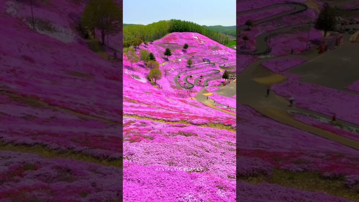 PLAC ON EARTH THAT DON'T FEEL REAL #shorts #places  #japan #explore