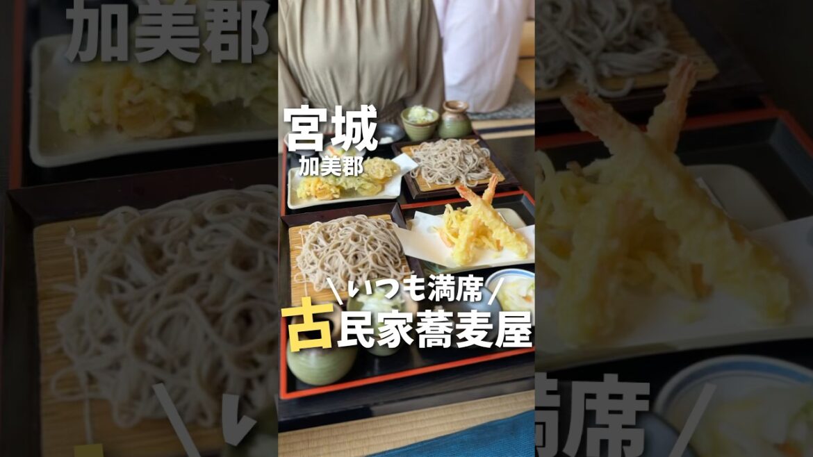 【宮城グルメ】人が絶えない..大人気お蕎麦屋さんに行ってみた✨#宮城グルメ #仙台旅行 #宮城旅行 #仙台観光 #宮城観光 #そば #japantravel #japanesefood #shorts