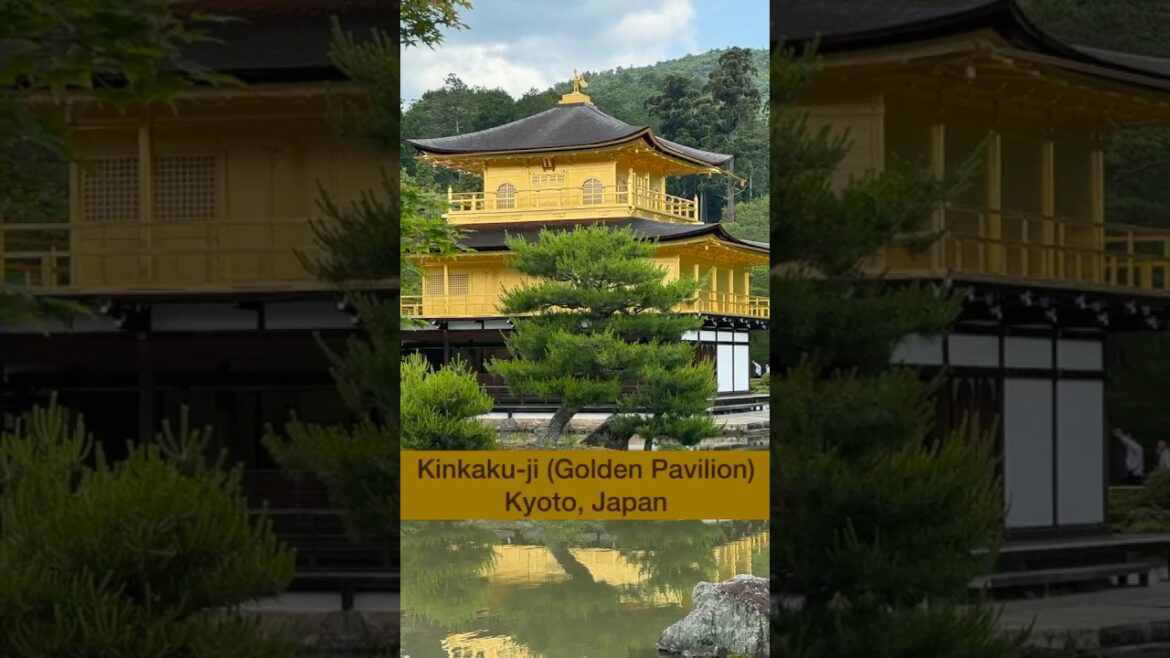 Kinkaku-ji Temple (The Golden Pavilion) Kyoto, Japan #shorts #japan #kinkakuji
