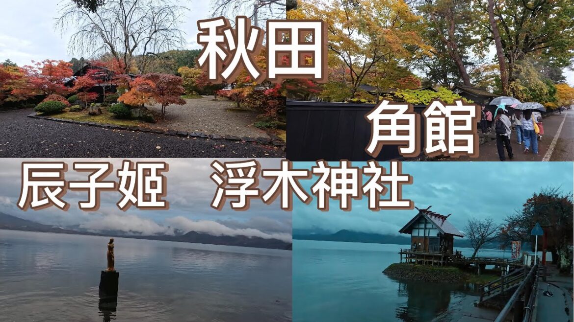 日本東北跟團旅行|帶你走進 秋田縣 《角館》武家屋敷群|田澤湖 浮木神社.黃金辰子姬像 秋的絕景🍁 2025.11.2《Day1》 日本東北跟團旅行|帶你走進 秋田縣 《角館》武家屋敷群|田澤湖 浮木神社.黃金辰子姬像 秋的絕景🍁 2025.11.2《Day1》