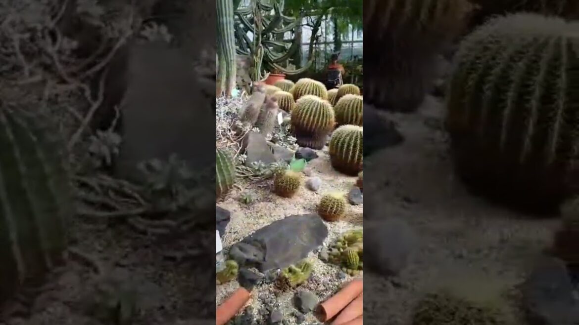 Higashiyama Botanical Garden Nagoya Japan #tourguiding #tourguideservice #japantourism#JapanTour2025