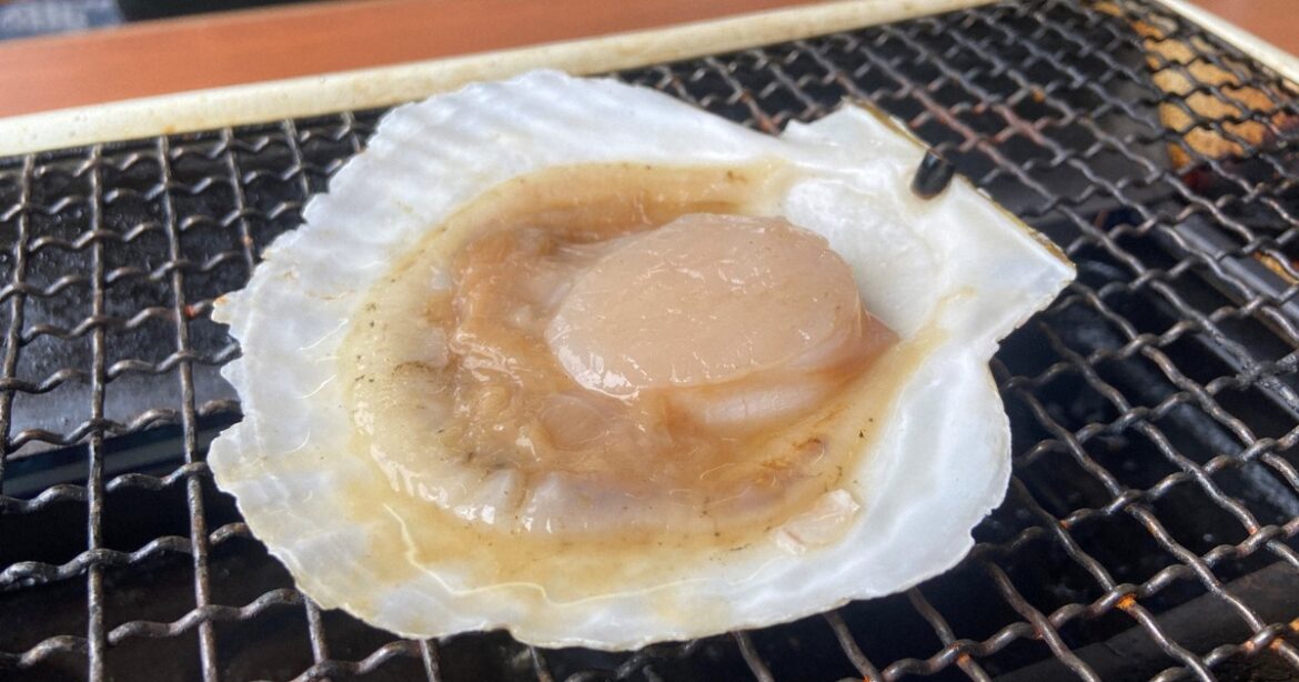 'We won't rely on China anymore': Beijing's seafood import ban disappoints Japan firms