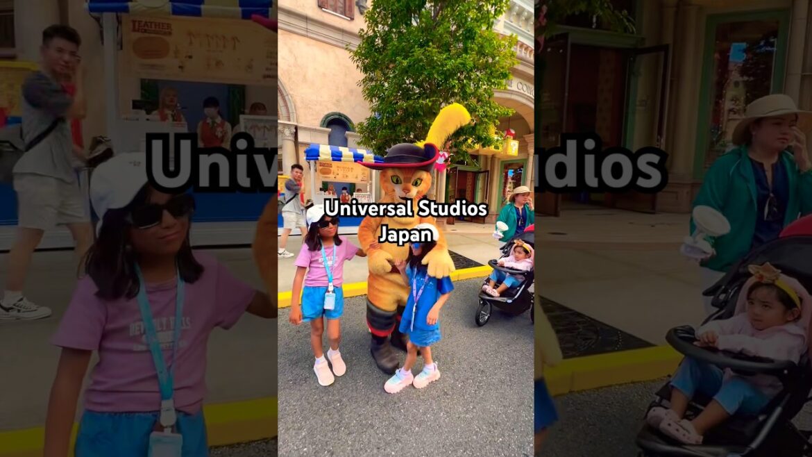 Universal Studios Japan #japan #travel #universalstudios #japanthemepark #osaka