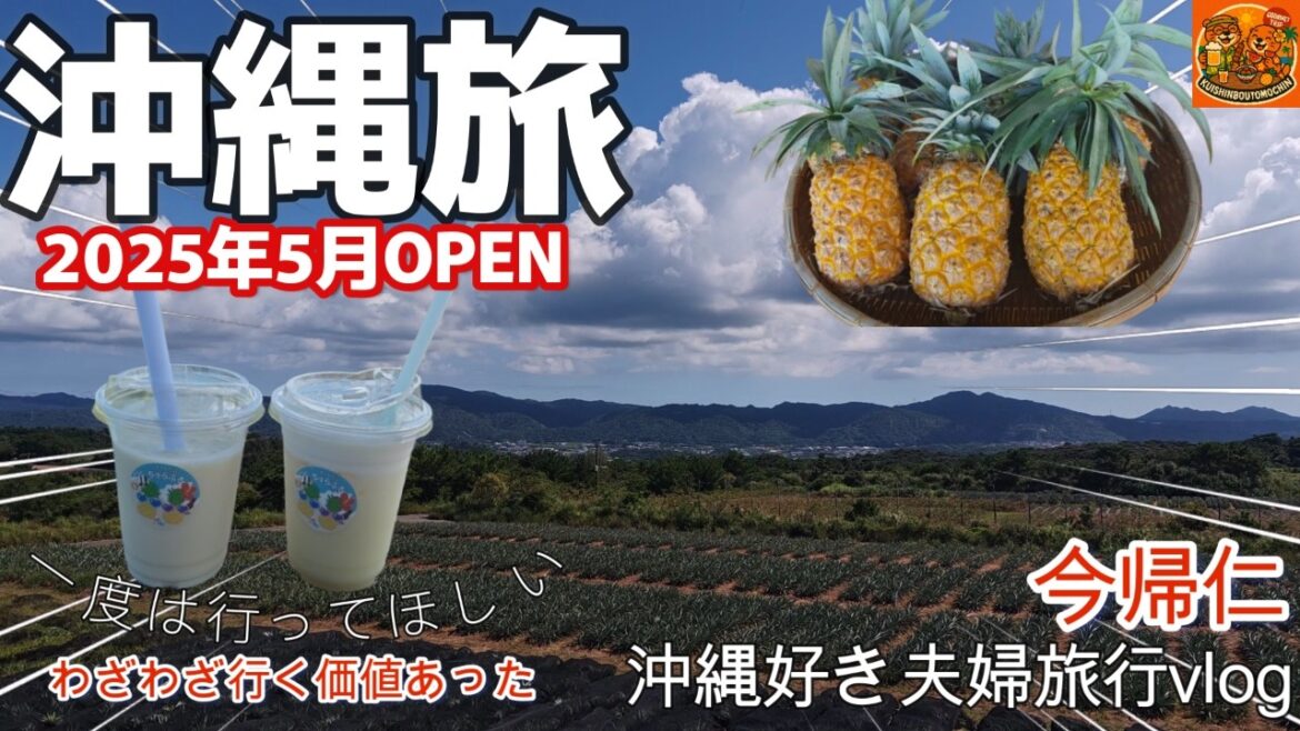 沖縄県北部沖縄今帰仁村おすすめパイナップル直売所＆カフェ🍹自然BGM絶景「たくし農園 ちゅらふる」3泊4日沖縄旅vlog夫婦2人旅