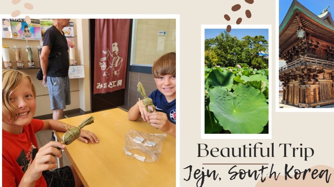 Exploring Niigata, Japan | Matcha Treats & Local Market Adventure