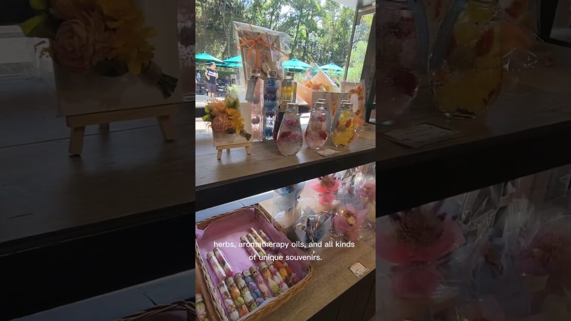 Kobe’s Herb Garden — The Most Scenic Ride + Ice Cream at the Top