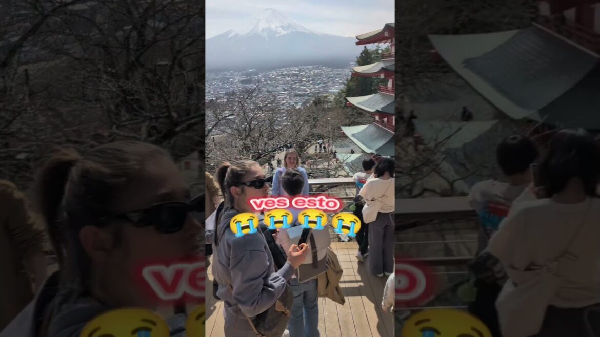 Vistas de Mt. Fuji ... expectaciones VS realidad