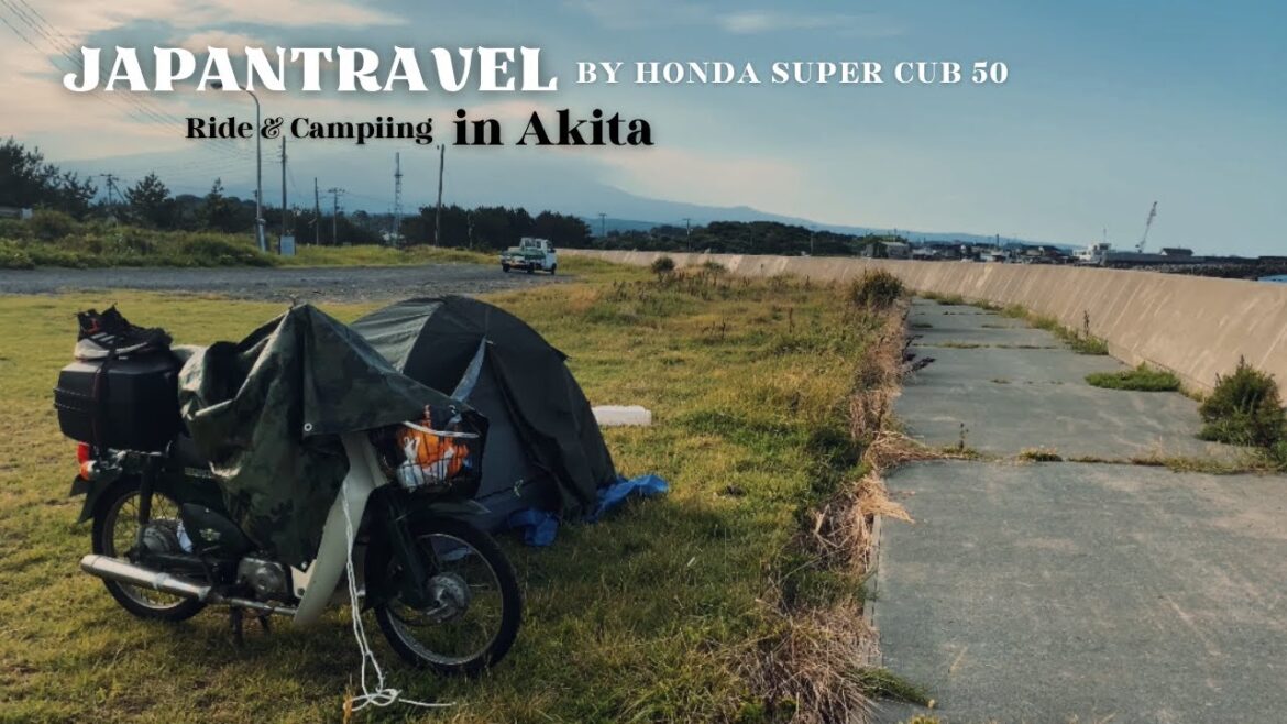 Solo Camping & Ride Super Cub 50| Travel in Akita, JAPAN [4K]