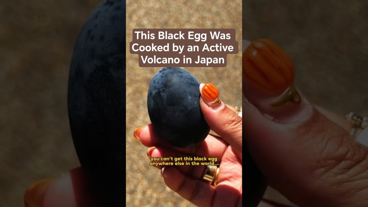 This Black Egg Was Cooked by an Active Volcano in Japan @dejashu