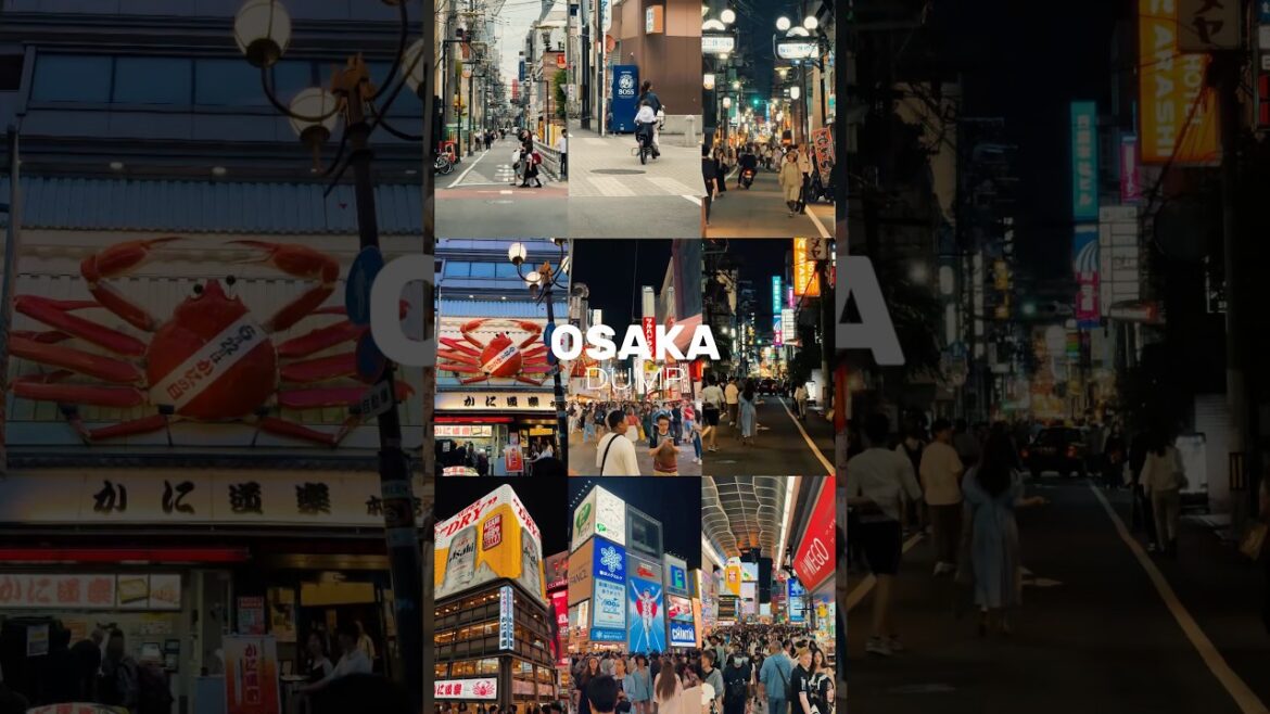 Osaka just blew my mind 🇯🇵 #osaka #osakacastle #japan #travel #dotonbori #namba #katsuo  #umeda