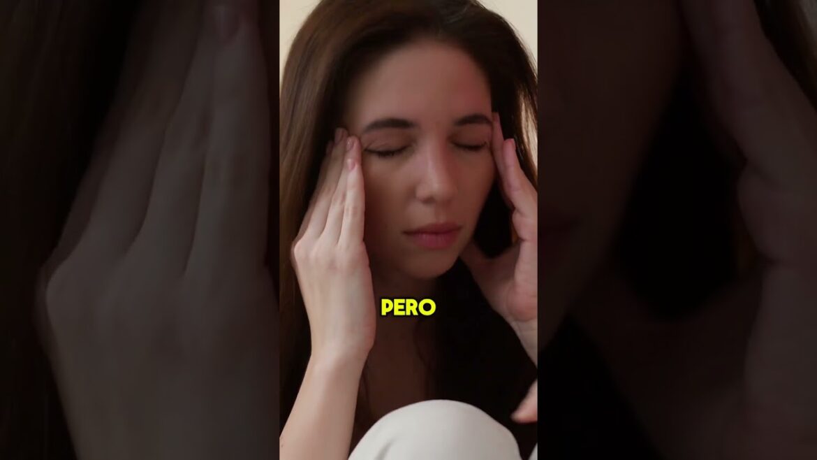 The most comfortable way to visit Sapporo’s Odori Park