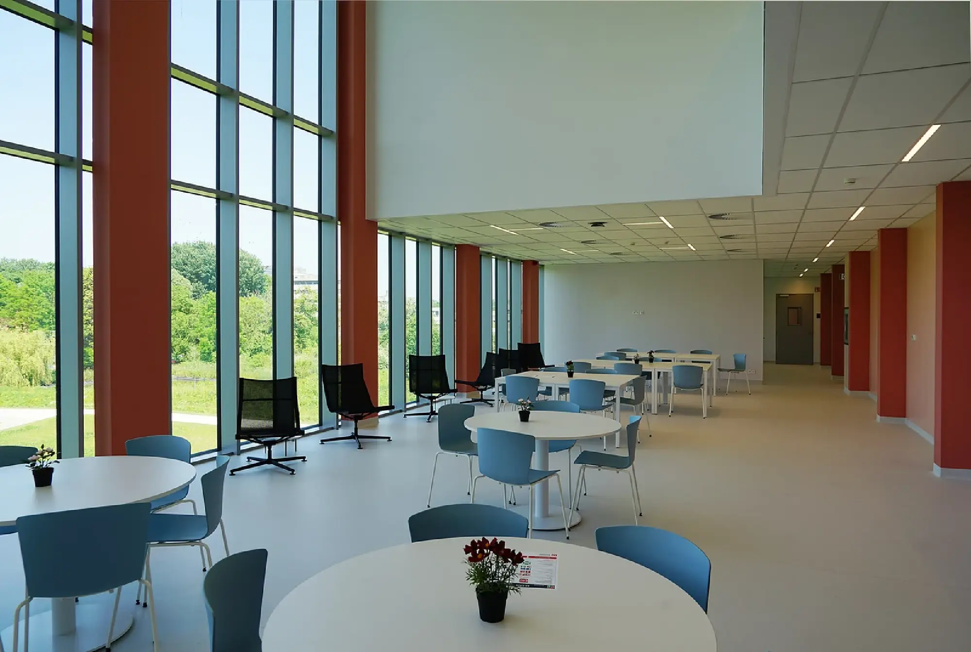 Human challenge trials gain ground in Europe; Japan cautious