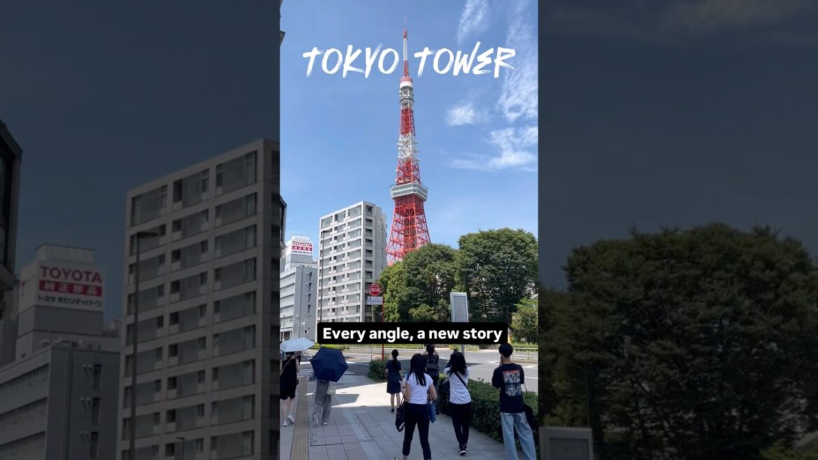 #tokyotower - every angle, a new story🗼#shorts #japan #tokyo #trending #viral #travel #youtube