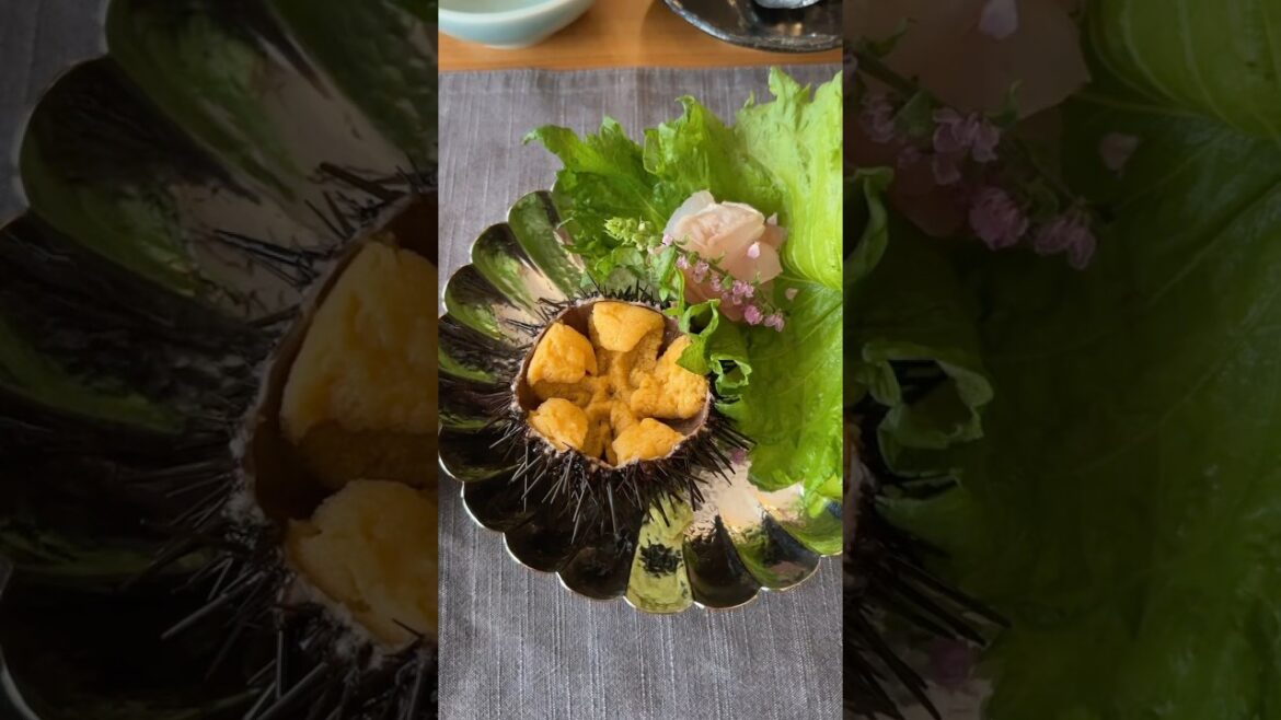 Most exclusive lodge “Numajiri Kogen Lodge”. A pure Japanese style lodge in Fukushima🇯🇵 #japanmase