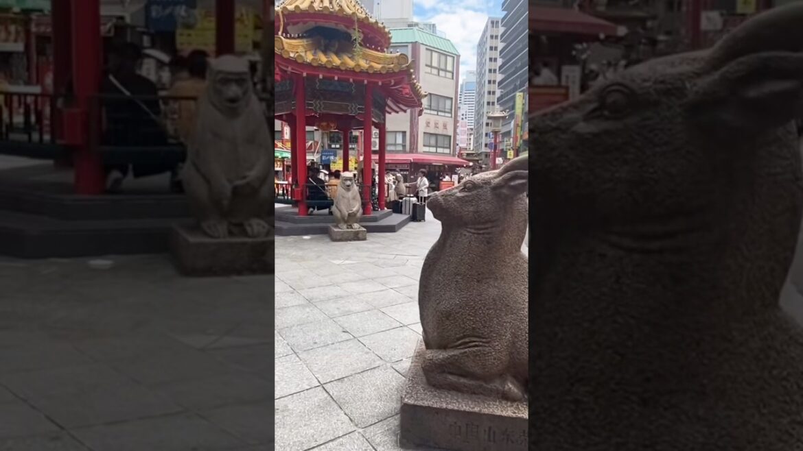 Kobe Chinatown #japão #kobe #shorts