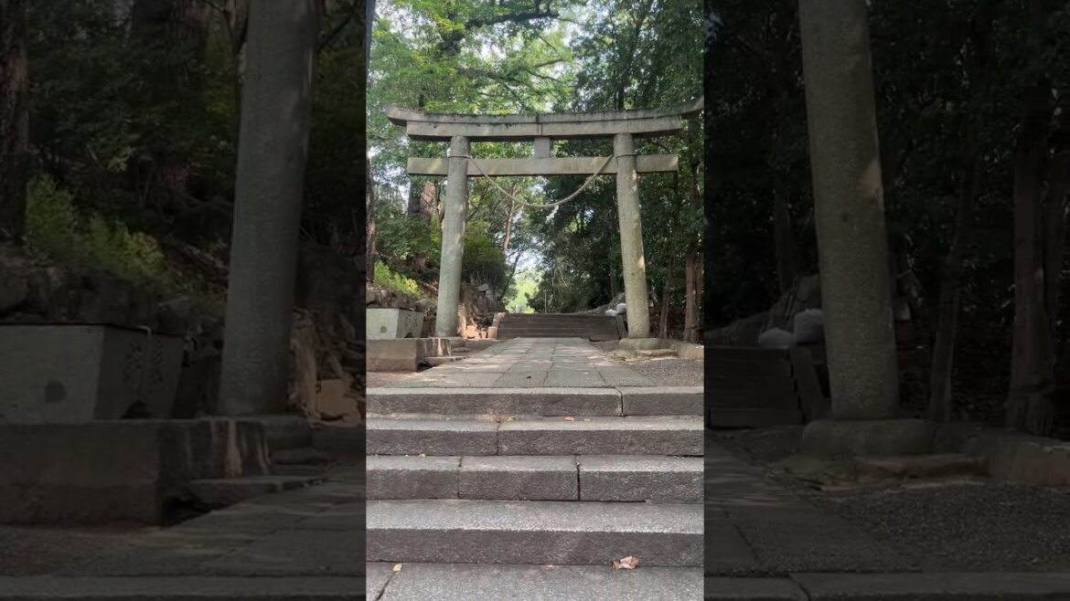 Achi Shrine (Kurashiki) – #shorts #travel #japan #kurashiki #japaneseshrine #japantravel Achi Shrine (Kurashiki) - #shorts #travel #japan #kurashiki #japaneseshrine #japantravel