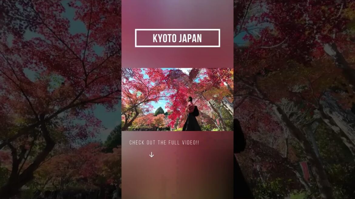Places you must visit in Japan🇯🇵  #japantravel #Kyoto  #shorts