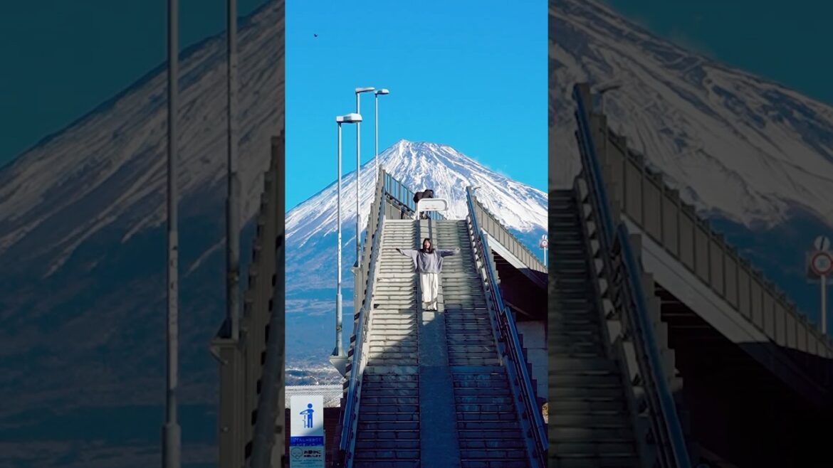 靜岡 x 伊豆內行人這樣玩💙富士山多重絕美視角🗻小丸子樂園超歡樂🎡熱海美術館夢幻萬花筒🎨