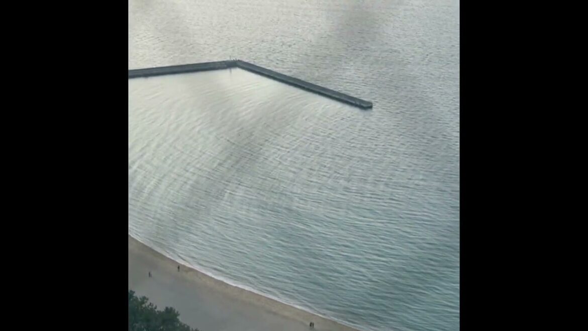 Fukuoka Tower on 11st April 2025