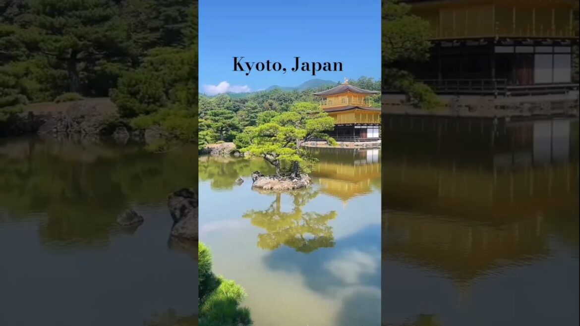 This is Kyoto, Japan | Zengen city #shorts #travel #kyoto #japan #nature #fyp