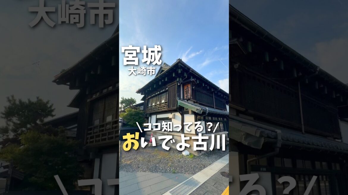 【宮城観光】ココ知ってる？懐かしい気持ちになる場所✨#宮城観光 #宮城旅行 #宮城グルメ #仙台観光 #仙台旅行 #仙台グルメ #駄菓子 #miyagi #japantravel #shorts