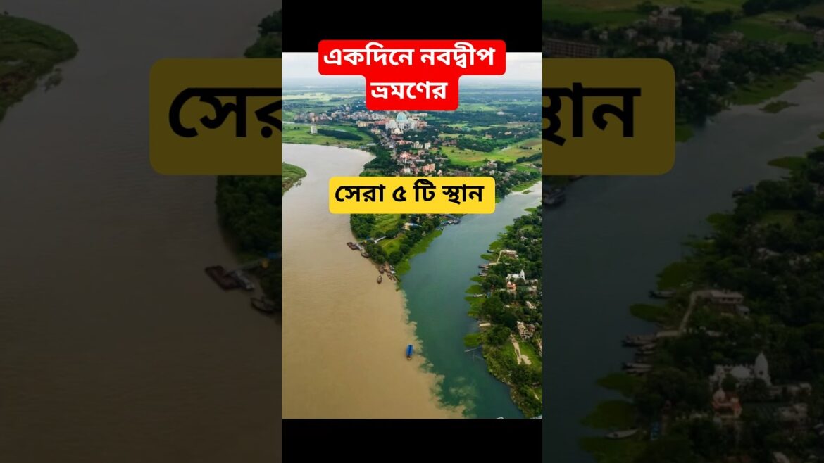 নবদ্বীপে কি কি দেখবেন? ৫ টি সেরা টিপস #shorts #ytshorts #ytshortsindia #nabadwip #mayapur #iskcon