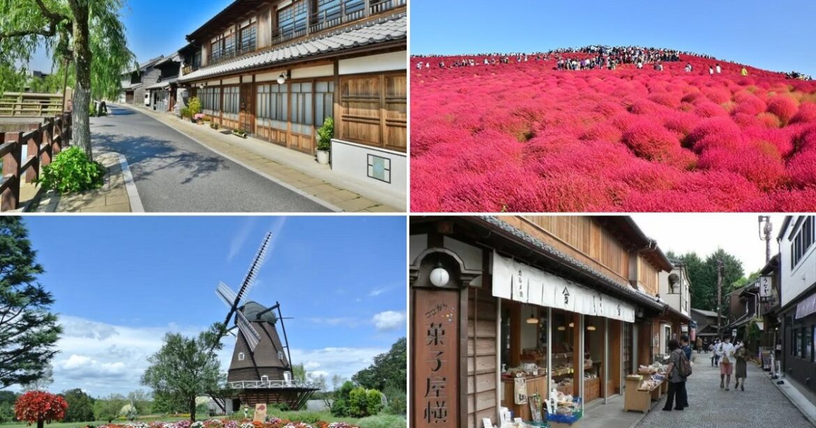 The 10 best day trips from downtown Tokyo【Survey】