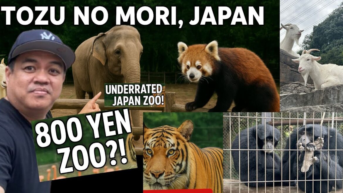 800 Yen Zoo?! Itozu no Mori Zoological Park Tour — You Won’t Expect This! 😳🦁