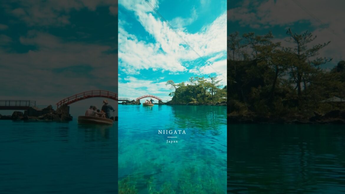 たらい舟が体験出来る🚣‍♀️ 佐渡島