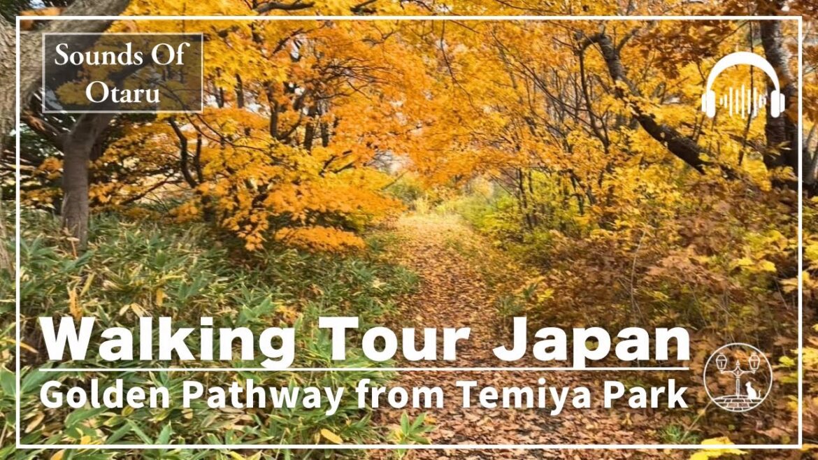 【 Walking Tour Japan  】Otaru | Golden Pathway from Temiya Park