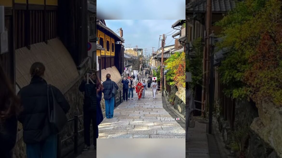 Kyoto, Japan 🇯🇵 #travel #expensetv #kyoto #japan #vacation #nature #history #modern #life #food