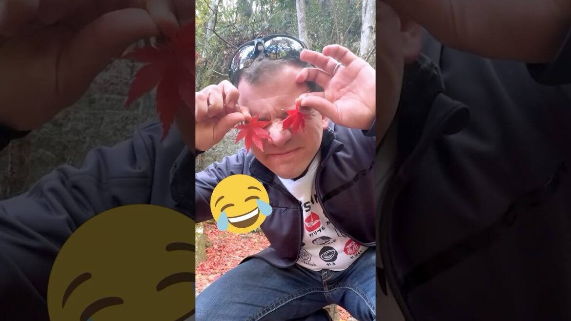 【#shorts 】Discovered Hiroshima's HIDDEN Gem for Autumn Leaves!