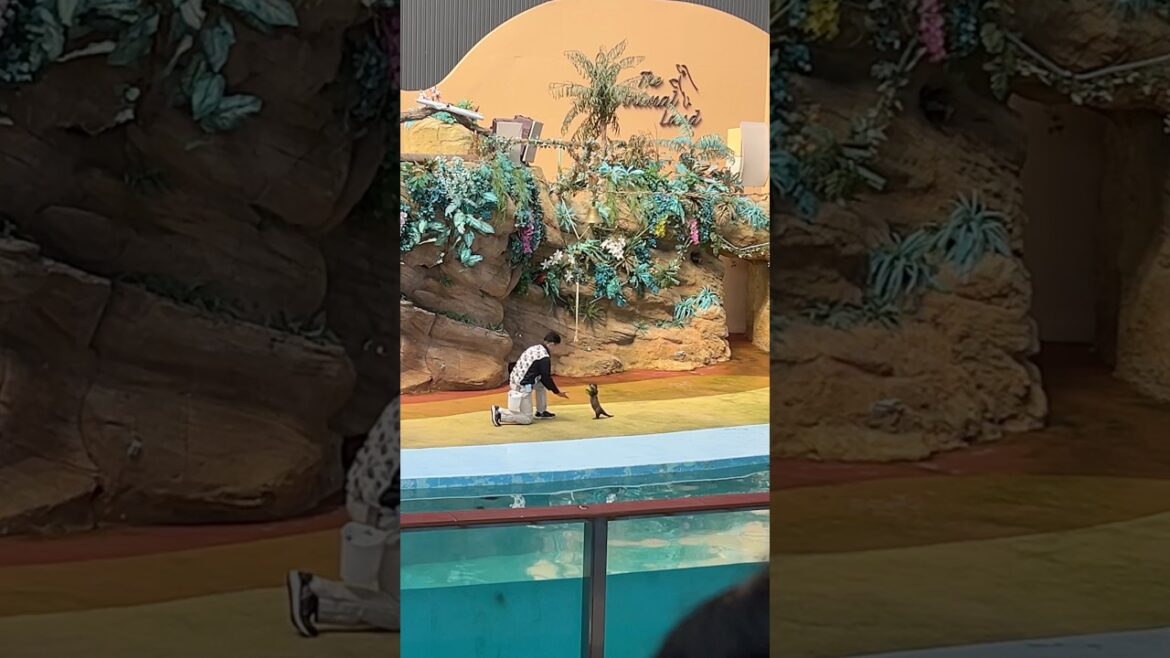 Wakayama Adventure World 🇯🇵 Japan