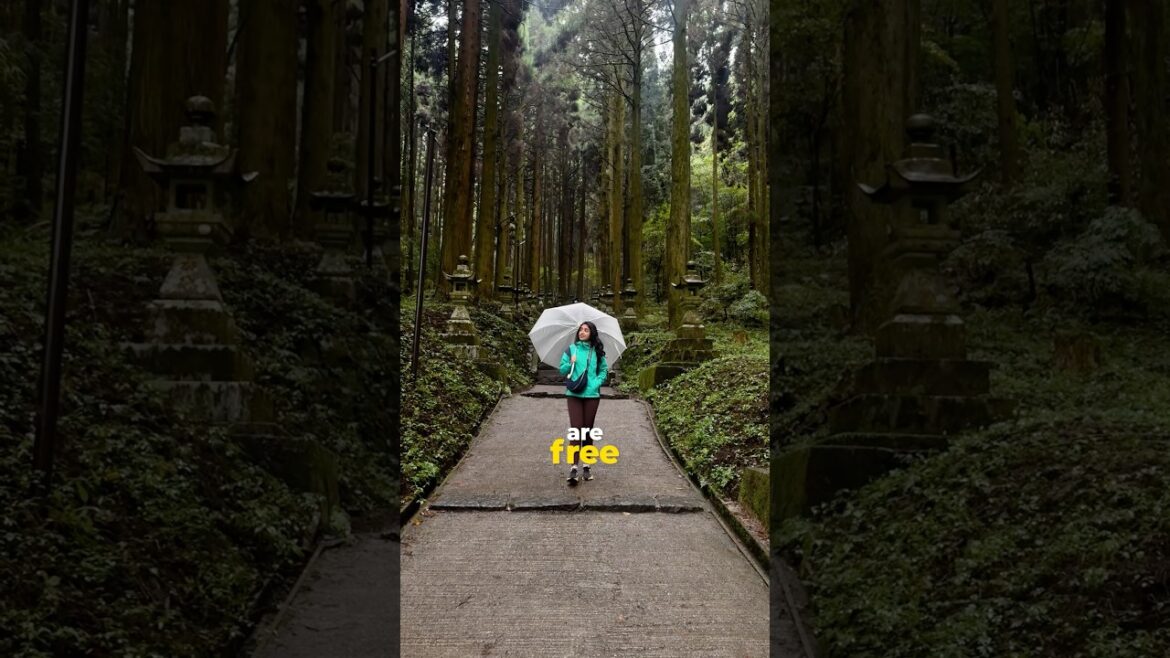 Here’s how you can afford a trip to Japan!!🤑#skyscanner #japan #japanbudget #japantravel Here’s how you can afford a trip to Japan!!🤑#skyscanner #japan #japanbudget #japantravel