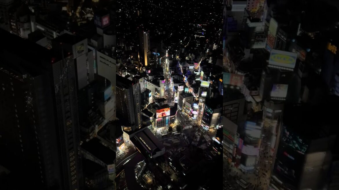 This is Why You NEED to Visit Tokyo 🗼