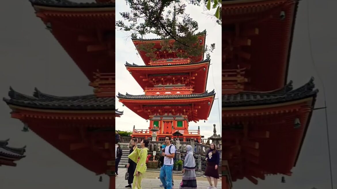 멋스러운 일본의 경주 교토 청수사 사찰 Kyoto #travel#japan#osaka#교토#교토여행#오사카#후쿠오카#일본#일본여행#tour#trip#도쿄야경#일본#도쿄#사찰#신비