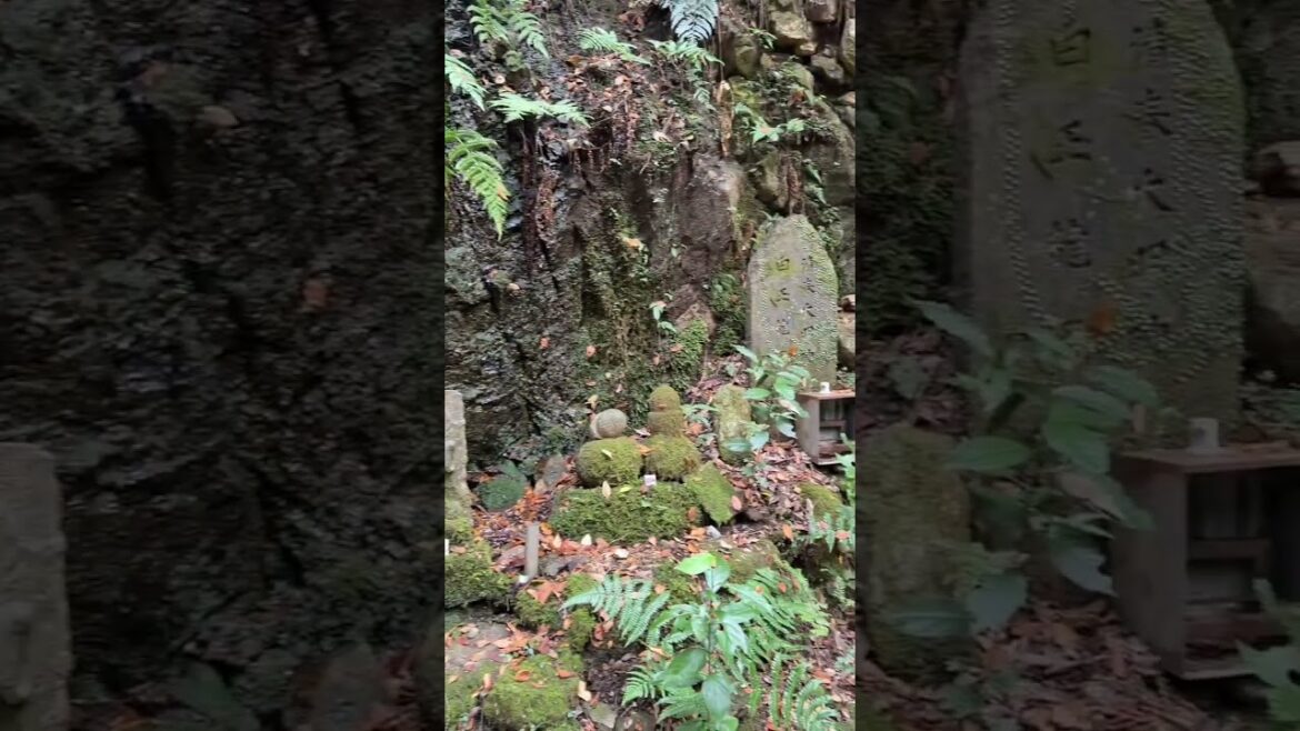 KYOTO, Japan | Breve ESCURSIONE all’OKUNO-IN per andare in cima al MONTE DAIMONJI 🥾